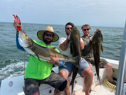 Sunrise, sea, and Cobia in Chesapeake Bay!